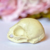 Kitten Skull replica with customizable handmade certificate and gift box - natural bone color -