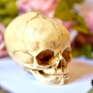 Skull replica  - real size resin fetus skull aged bone color - Goth Oddity home decor or craft supply. -