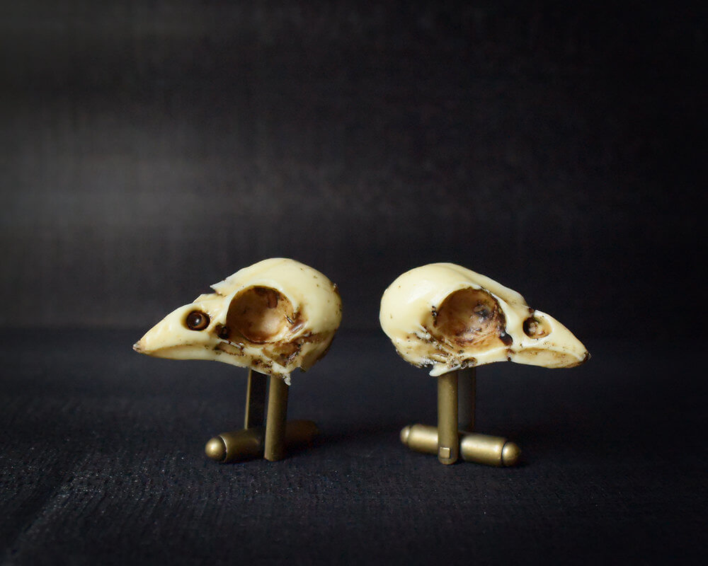 Sparrow Skull Cufflinks - Hand made realistic replica bird skull cuff links